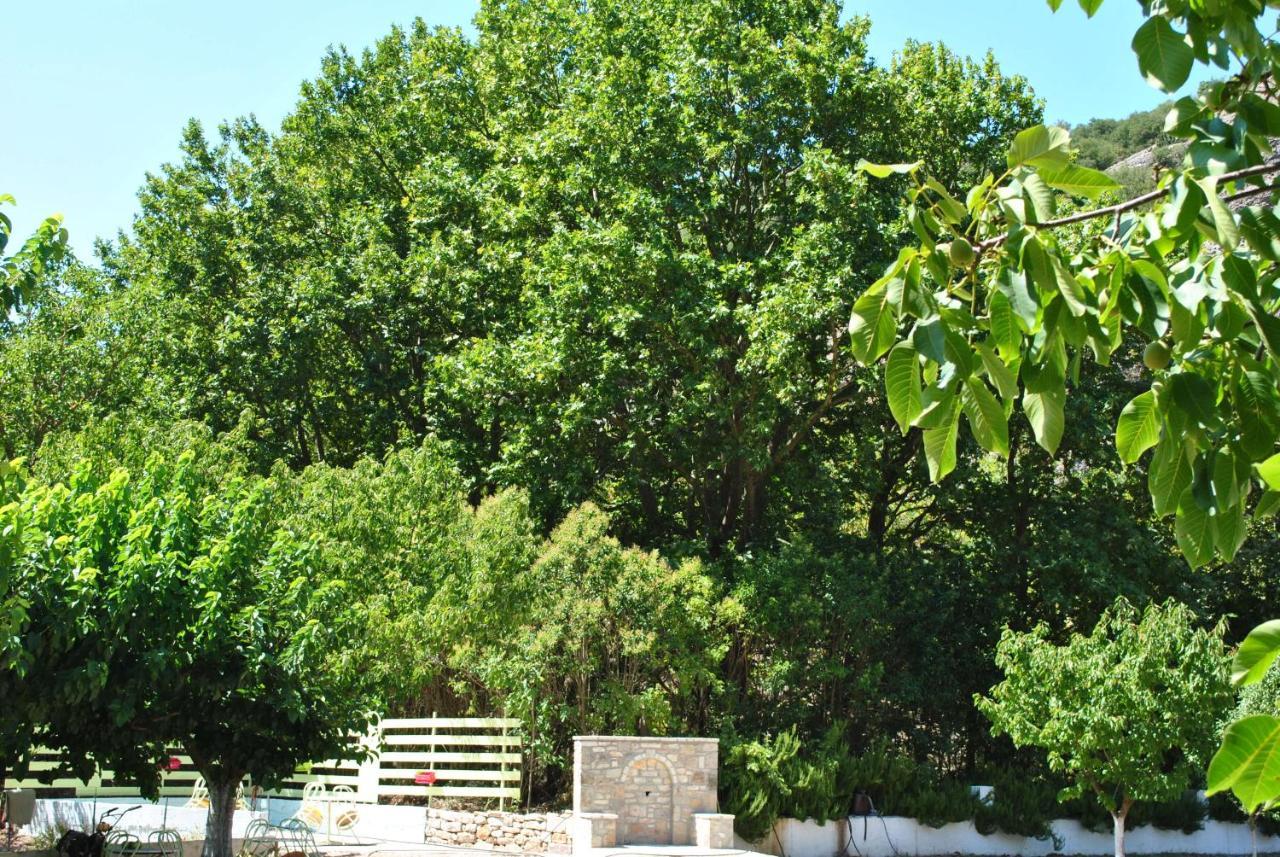 Guesthouse Eleftherios Kalavryta Luaran gambar